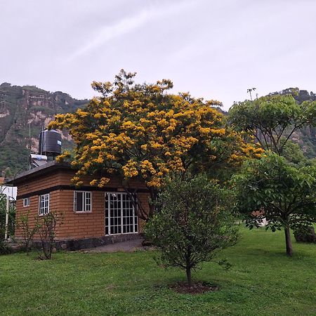Posada Meztitla Tepoztlán Dış mekan fotoğraf