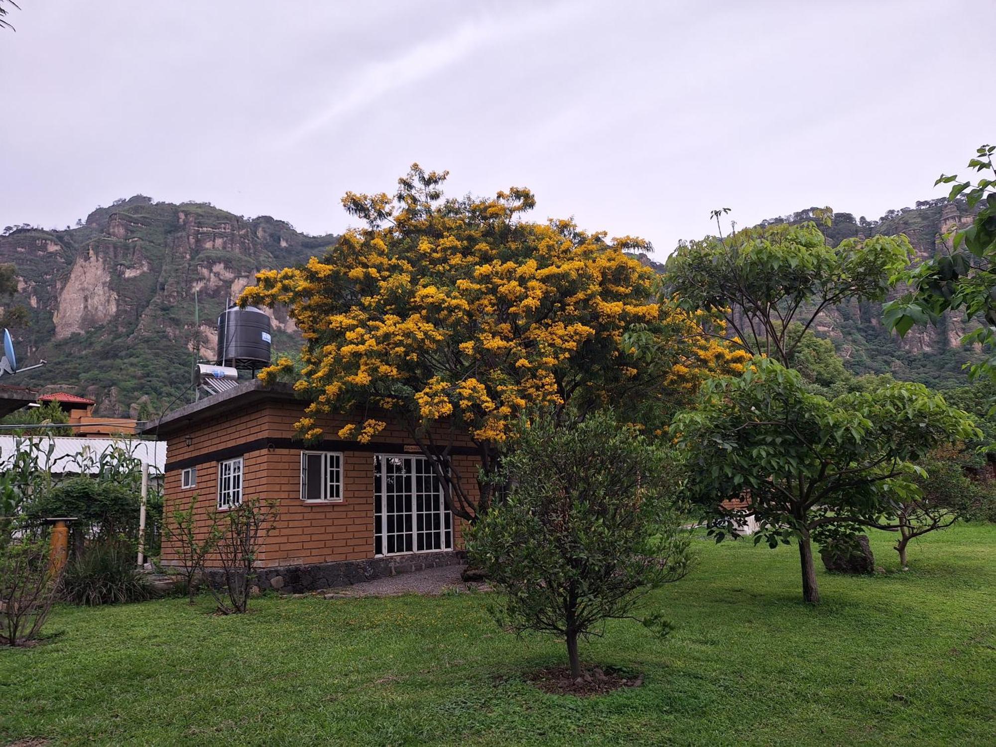 Posada Meztitla Tepoztlán Dış mekan fotoğraf