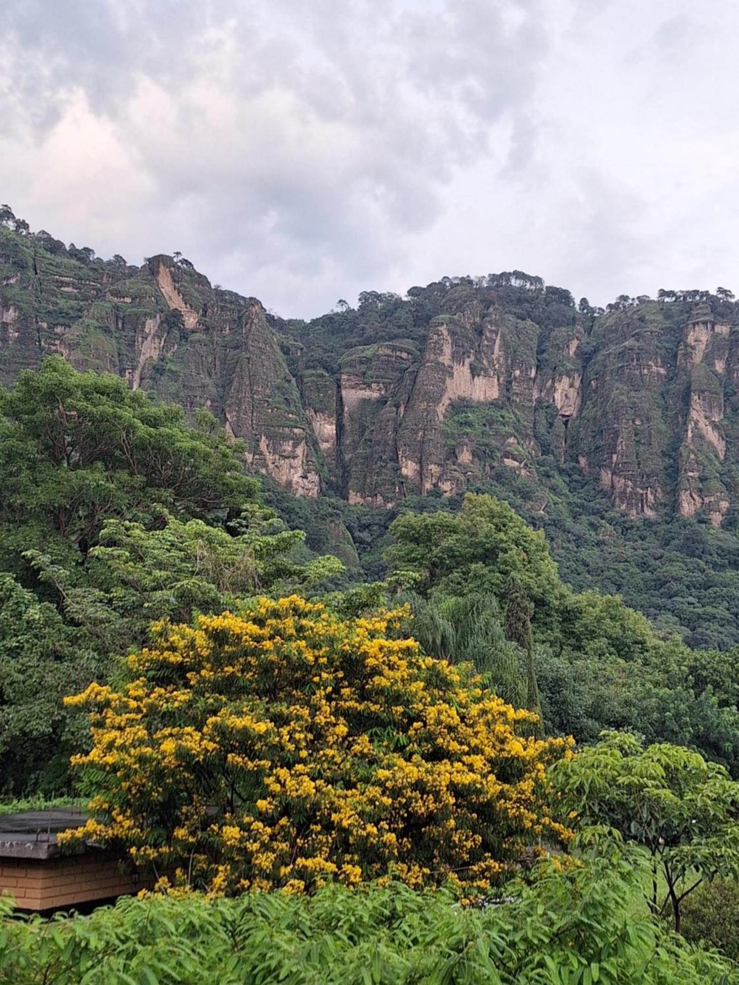 Posada Meztitla Tepoztlán Dış mekan fotoğraf